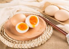 细菌就可能借壳上