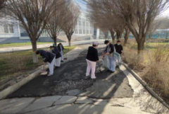 全市通过多种体例积极开展爱国卫生运